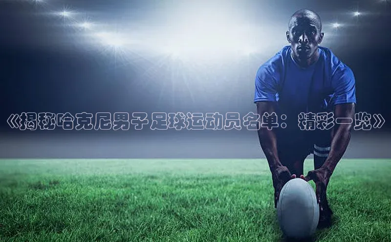 天富测速网页版登录入口百度学术《揭秘哈克尼男子足球运动员名单：精彩一览》