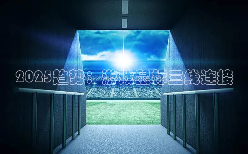 2025趋势：游戏鼠标三线连接